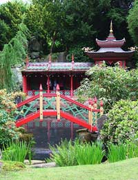Creating a Japanese Themed Garden Pond