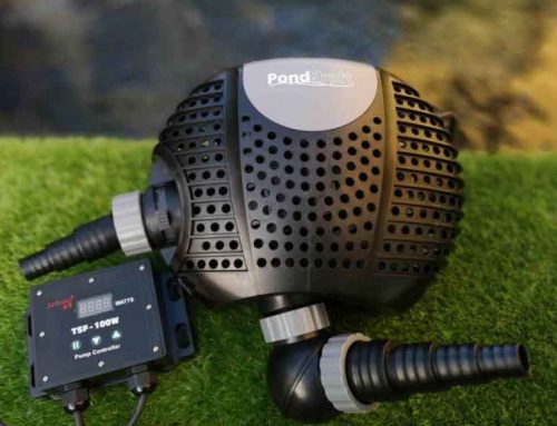 Pond Pumps – What are the options?