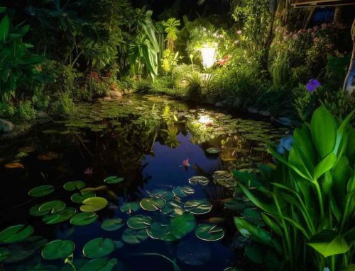 LED Pond Lights: An In-Depth Guide to Energy-Efficient and Attractive Aquatic Illumination