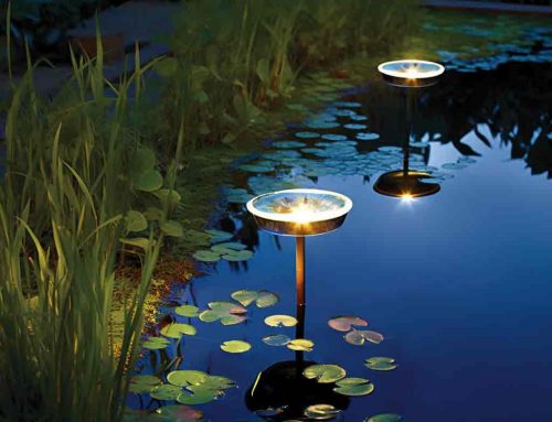 Solar Pond Lights: A Comprehensive Guide to Eco-Friendly and Sustainable Aquatic Illumination
