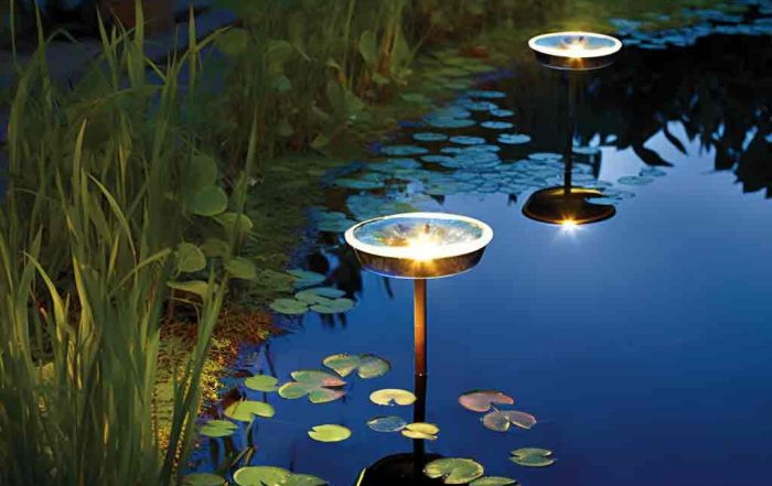 Solar pond lights